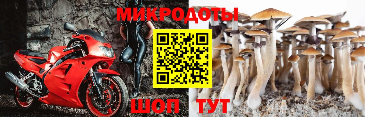 Псилоцибиновые грибы Psilocybine cubensis  Вход с VPN  Орёл 